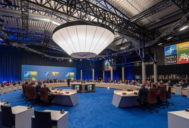 Vilnius Summit Communique
